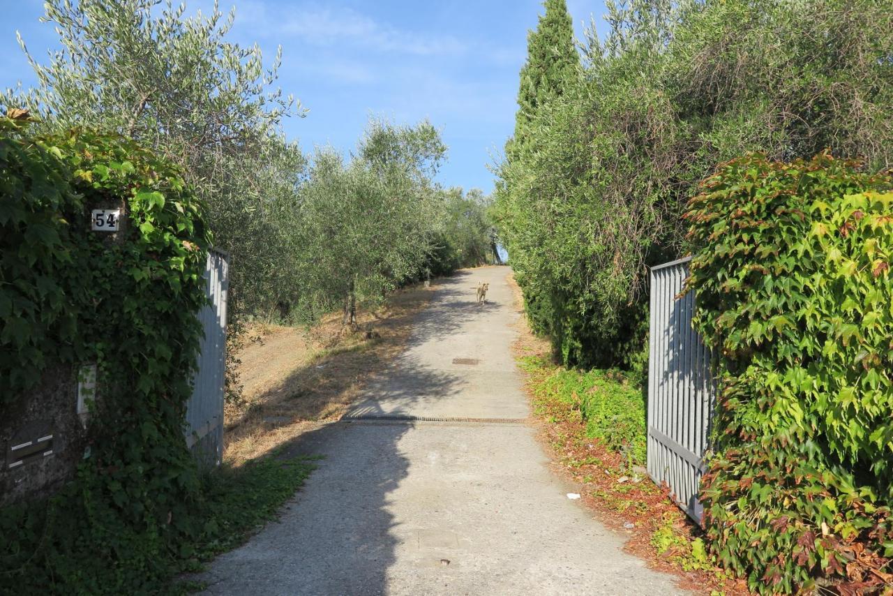Vila Banks 1 Vezzano Ligure Exteriér fotografie